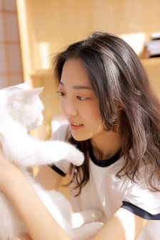 新乱世佳人电视剧